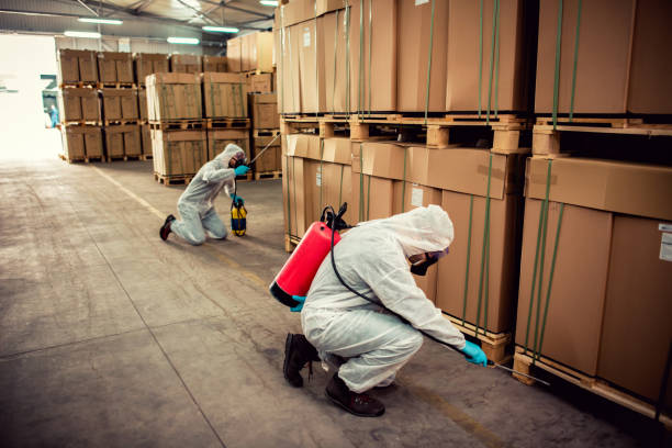 Best Termite Control Services  in Montezuma, IA