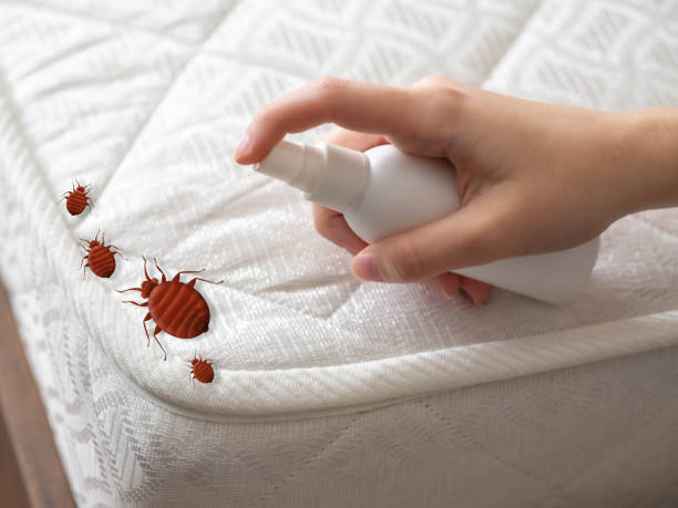 Best Mosquito Control Services  in Montezuma, IA