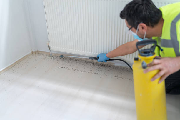 Best Pest Control Treatment  in Montezuma, IA