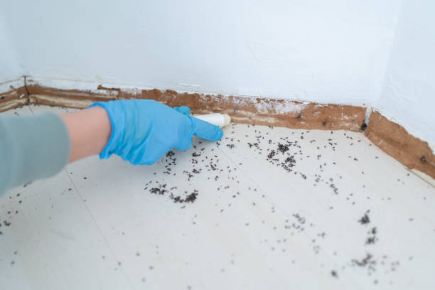 Best Commercial Pest Control Services  in Montezuma, IA